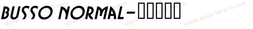 Busso Normal字体转换